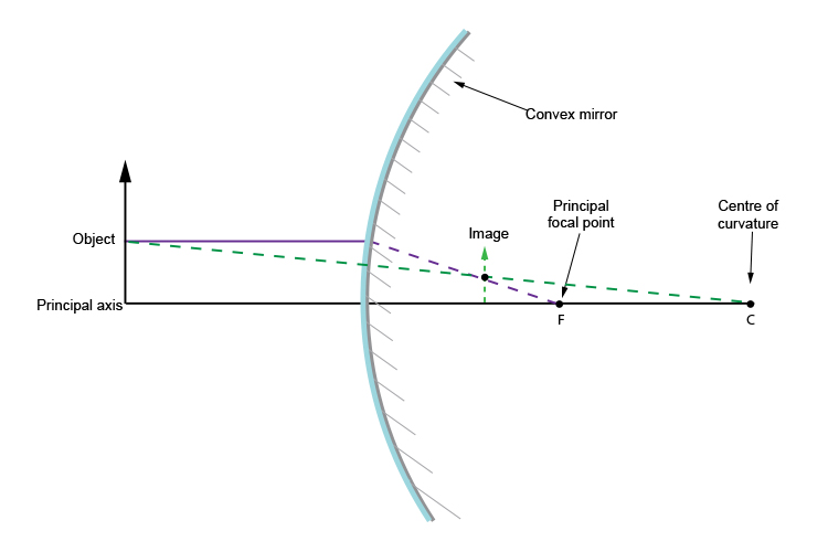 Convex mirror ray diagram from the middle of the object